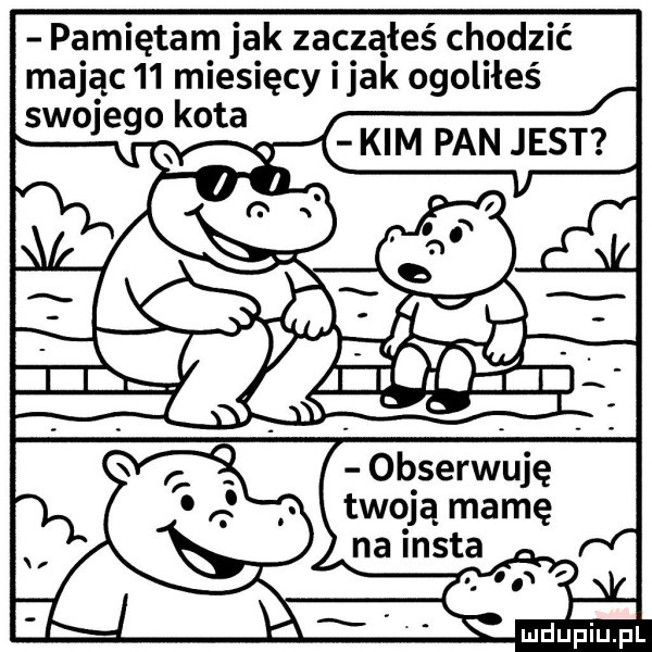 pamiętam jak zacząłeś chodzić mając    miesięcy imak ogoliłeś swojego kota obserwuję twoją mamę na insta