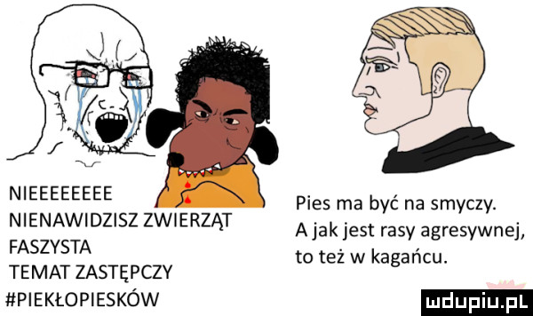 nieeeeeeee pies ma być na smyczy. nienawidzisz zwierząt abak jest i boy agresywnej faszysta toteż w kagańcu. temat zastępczy piekłopiesków