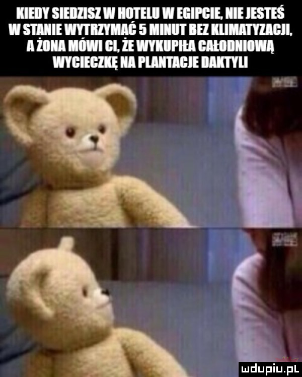 iieiiv sieiiii ilii ebi egipcie. ibl ihs i eś i siiiie mm   iiiii i ih murami. ii iii ii iii. ie mich gimiiiiiwii wiem iii pinii iiiiie ilii ilii. wdupiu pl