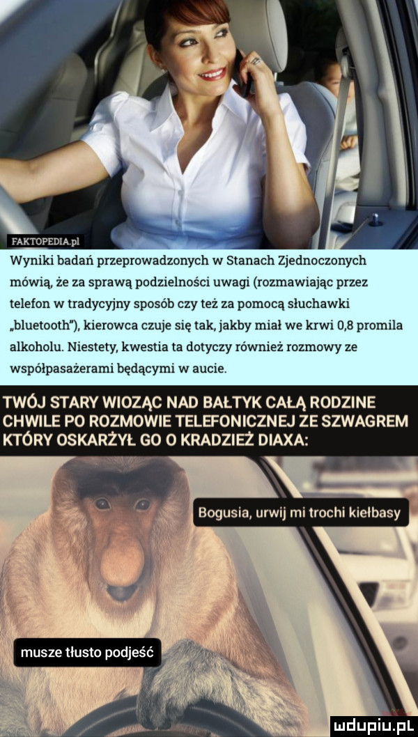 faktdpedia pl wyniki badań przeprowadzonych w stanach zjednoczonych mówią że za sprawą podzielności uwagi rozmawiając przez telefon w tradycyjny sposób czy też za pomocą sluchawki bluetooth kierowca czuje sie tak jakby miał we krwi     promila alkoholu. niestety kwestia ta dotyczy również rozmowy ze współpasażerami będącymi w aucie. twój starv wioząc nad bałtyk całą rodzine chwile p  rozmowie telefonicznej ze szwagrem który oskarżył go   kradzież diada musze tlusto podjeść