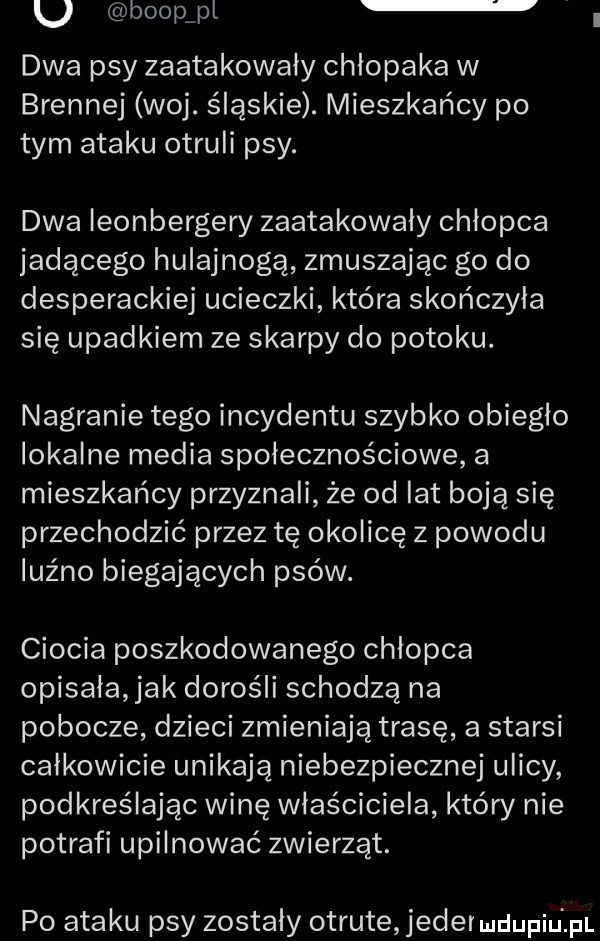 u boopipl dwa psy zaatakowały chłopaka w brennej woj. śląskie. mieszkańcy po tym ataku otruli psy. dwa ieonbergery zaatakowały chłopca jadącego hulajnogą zmuszając go do desperackiej ucieczki która skończyła się upadkiem ze skarpy do potoku. nagranie tego incydentu szybko obieglo lokalne media społecznościowe a mieszkańcy przyznali że od lat boją się przechodzić przez tę okolicę z powodu luźno biegających psów. ciocia poszkodowanego chlopca opisała jak dorośli schodzą na pobocze dzieci zmieniają trasę a starsi całkowicie unikają niebezpiecznej ulicy podkreślając winę właściciela który nie potrafi upilnować zwierząt. po ataku psy zostaly otrute jedermdupiu p
