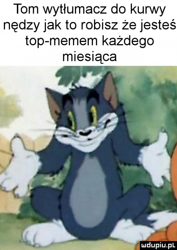 tom wytłumacz do kurwy nędzy jak to robisz że jesteś top memem każdego miesiąca i. i