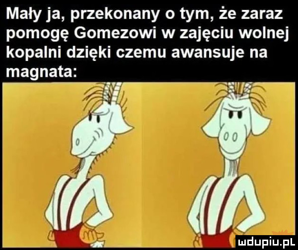 mały ja przekonany o tym że zaraz pomogę gomezowi w zajęciu wolnej kopalni dzięki czemu awansuje na magnata