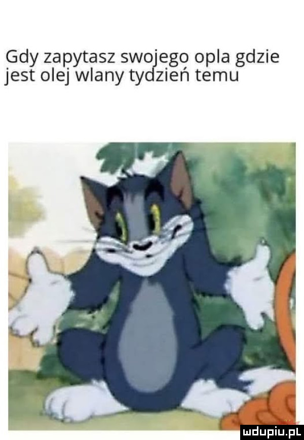 gdy zapytasz swo ego opla gdzie jest olej wlany ty zień temu