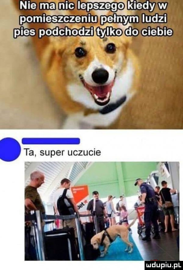 nie    me ppomieszczeniu mmm inn mmama v. abakankami ją. ta super uczucie meupiupl