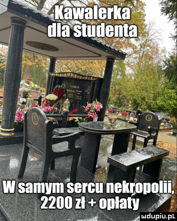 w samum sercu nekrollqliiż          zł onlatv i a ludupiu. pl