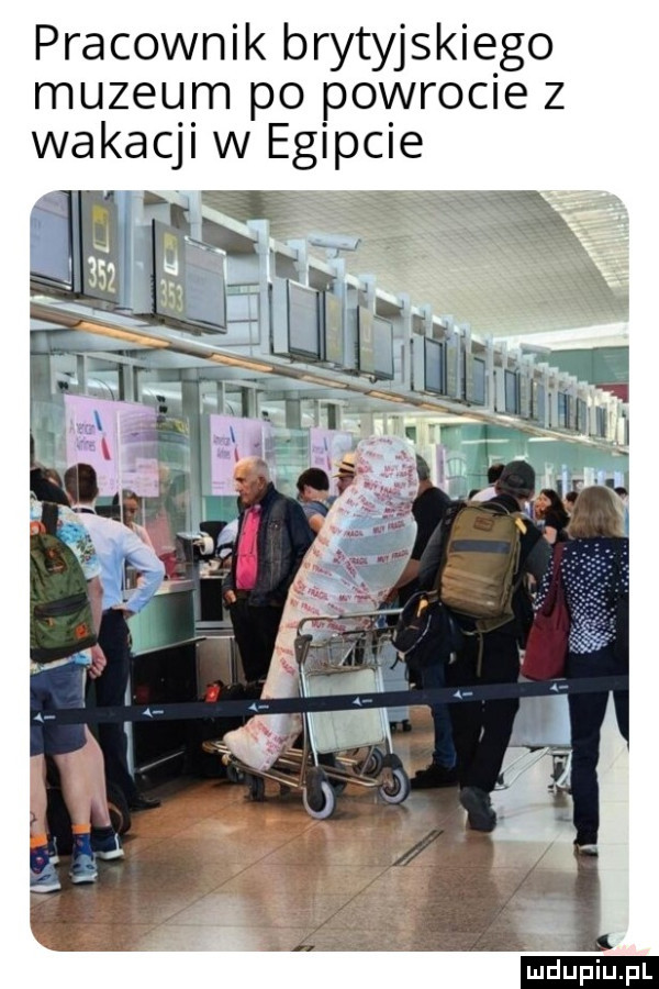pracownik brytyjskiego muzeum po powrocie z wakacji w egipcie a fa x ludu iu. l