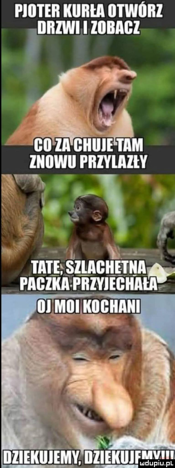 la gllll iżtażm ziiiiwii pnlylalły taiesllagiietnav pagera pbi yiegiiała iiiiekiiiemy. ibl i ei iiif ę