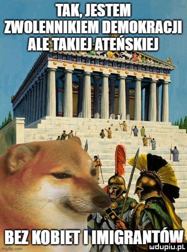 i all. jestem zwilleiiiiikiem ileﬂlllllllcll i ebi bez kiiiiiei i imigiiaiitiiw ludupiu. pl