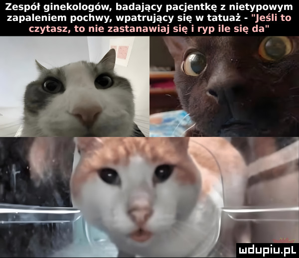 zespół ginekologów badający pacjentkę z n typowym