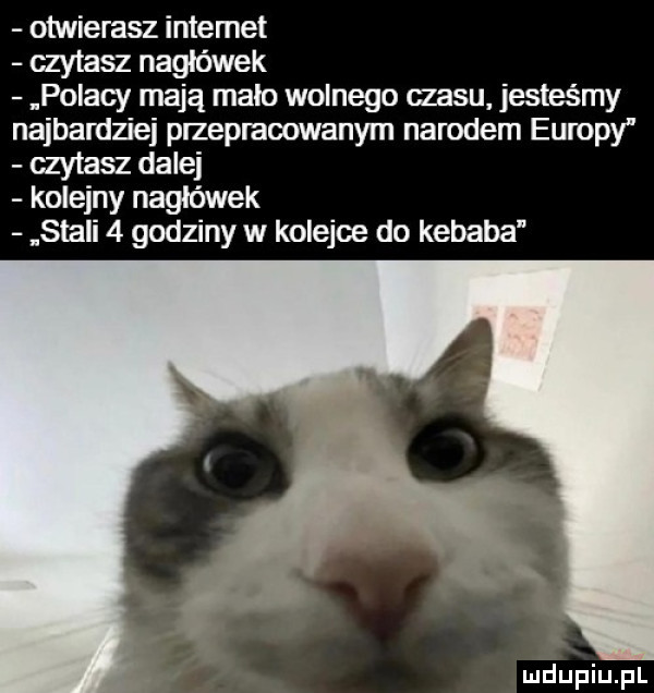 otwierasz internet czytasz nagłówek polam mają mało wolnego czasu jesteśmy najbardziej przepracowanym narodem europy czytasz dalej kolejny nagłówek stali   godziny w kolejce do kebaba
