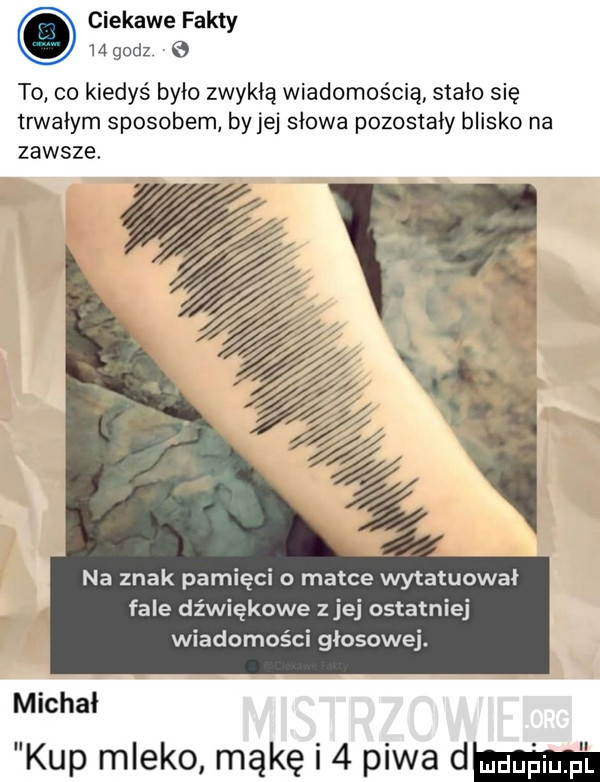 ciekawe fakty    godz   to co kiedyś było zwykłą wiadomością stało się trwałym sposobem by jej słowa pozostały blisko na zawsze. na znak pamięci o matce wytatuowai fale dźwiękowe z jej ostatniej wiadomości głosowej. michał kup mleko mąkę i   piwa dw