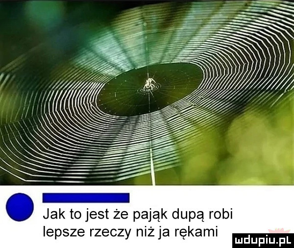 jak tojest że pająk dupą robi lepsze rzeczy niż ja rękami