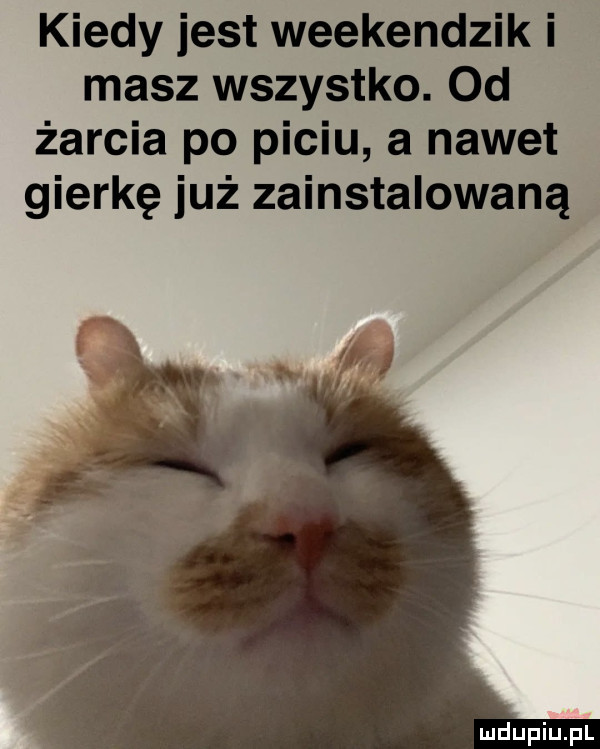 kiedy jest weekendzik i masz wszystko. od żarcia po piciu a nawet gierkę już zainstalowaną