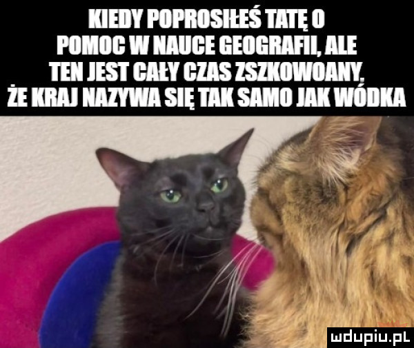 iieiiy i iii iiiisiiis i i i e ll ham i ma lilllﬁllll ll. ibl i ei ihs i gi nas     mm ewwsiemsiiiimwiiiiii mn