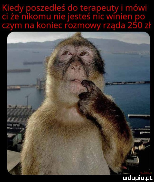 kiedy poszedłeś do terapeuty i mówi ci że nikomu niejesteś nic winien o czym na koniec rozmowy rząsa     zł. ehpiupl