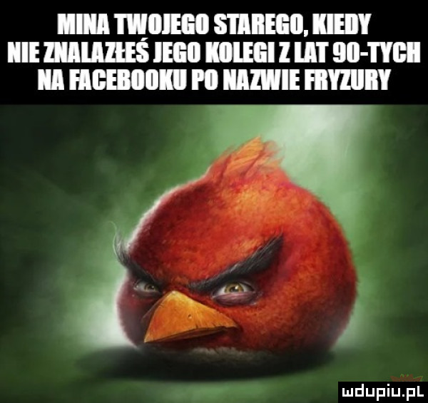 ilia mam siiiiegii. iieiiy mums iegii iiileei i il l bai ii ii hieiiiiii pii nazwie mmm m