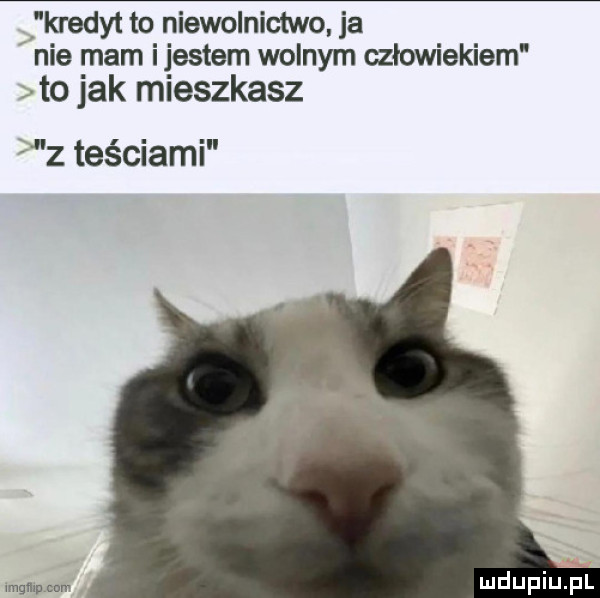 kredyt to niewolnictwo ja nie rnam i jestem wolnym człowiekiem to jak mieszkasz z teściami mam