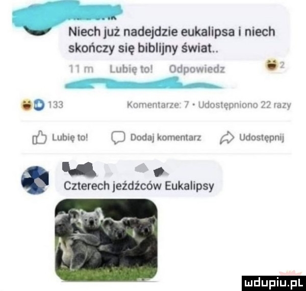 niech już nadejdzie eukalipsa i niech skończy się biblijny świat. mm m odpowmdz o v u kmmrmmxv jrumhgumn n v lublelo dodajkomenlavz udoslepm u v czterech jeźdźców eukalipsy