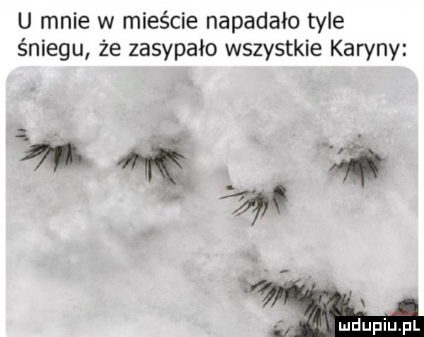 u mnie w mieście napadało tyle śniegu że zasypało wszystkie karyny