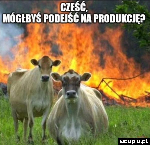 cz śfa uuutnvs muse a rnnnuucnęp