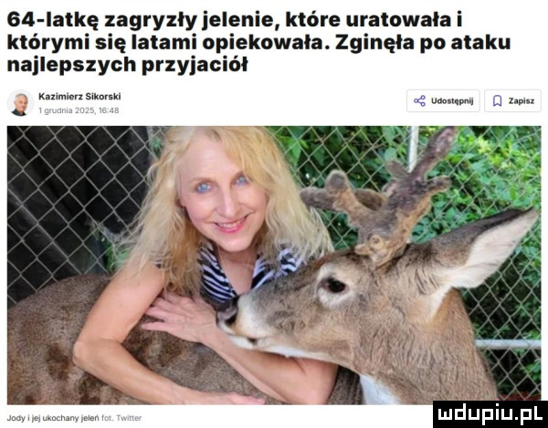 ialkę zagryzły jelenie które uratowała i którymi się latami opiekowała. zginęła po ataku najlepszych przyiació. m. abakankami mm
