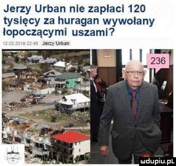 jerzy urban nie zaplaci     tysięcy za huragan wywołany łopoczącymi uszami   jemy ulan