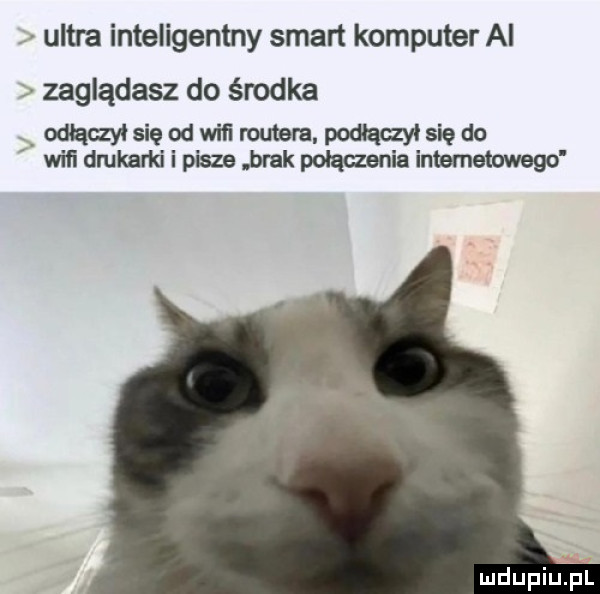 abakankami ultra inteligentny smart komputer ai zaglądasz do środka v odtqczyisieodwiﬁ mam podiączyisiędo wici drukarki i pisze brak połączenia internetowego