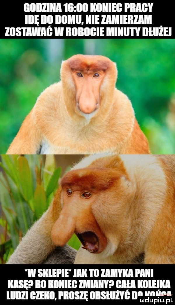 lillllliil       iiiiiiei pm ilię illl mall. ibl niema mmm w iiiibiigie iiiii i y iiiiiżei isiieie iii iiiiiiyiamiii insta nn manu mm ęnumugu mmnnsmnnsmmnnmm