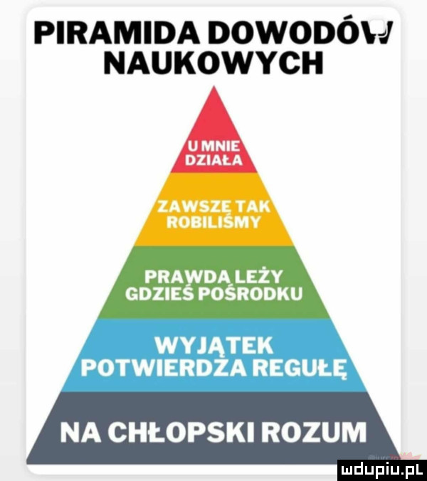 piramida dowodówvj naukowych a na chłopski rozum