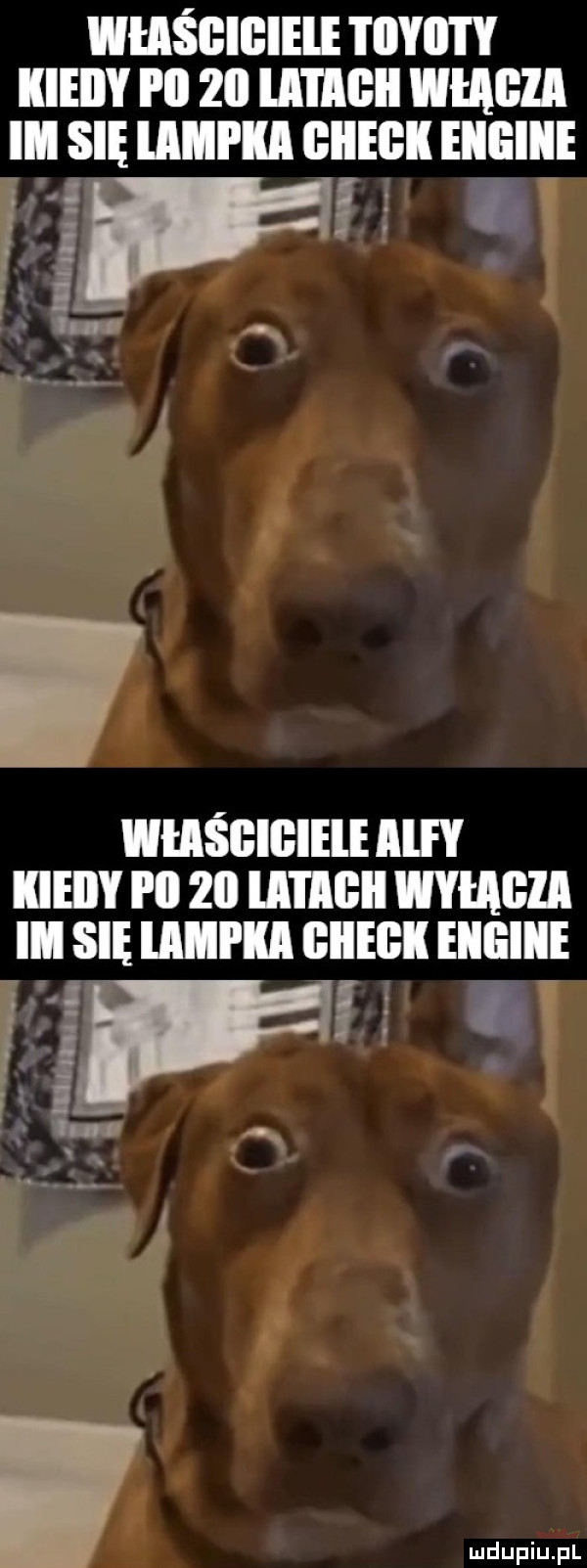 whiśbibiele i iiyiity kiedy i ll   ll l lill inﬁll iii iii się llmi iii biiegk eiiiei ś g.   a r. i wiaśgigieie al iiieiiy i ll żii men wymgia ebi eiigiiie ibl się an bai. o