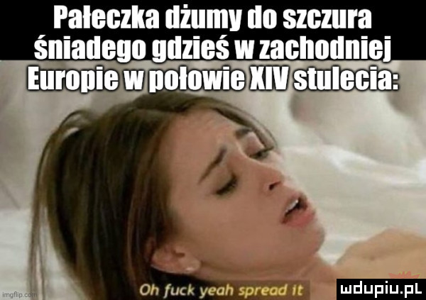 iiiiiii    gdzieś w zachodnie              ieee ludu iu. l