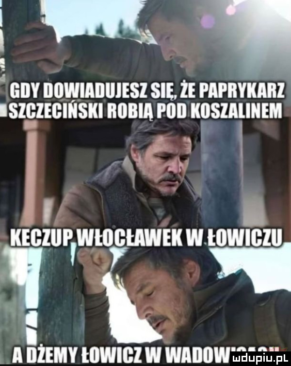 gdy bowiaiiiiiesi się ze papryka isigiegiiiski robia plii koszalinem a.   a u i i kegziii włocławek wwwigzii zw r k i a iii towigl w wabowijeeejll