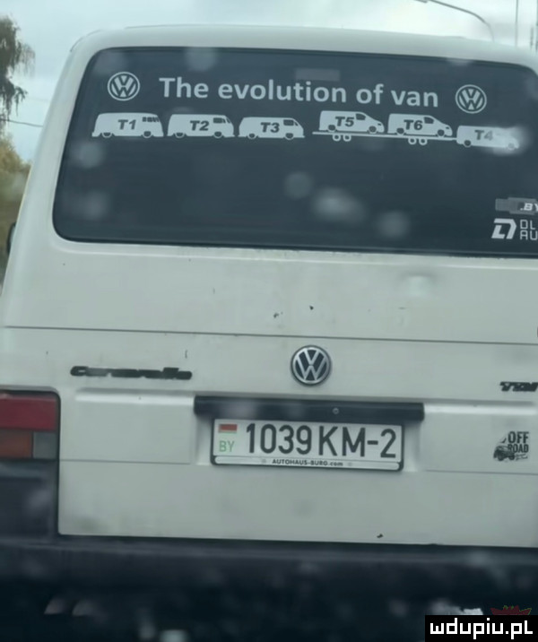 tee evolution of van mma