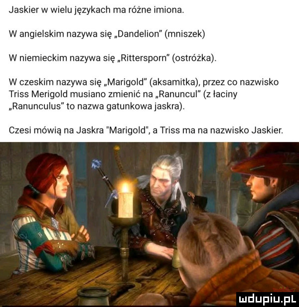 jaskier w wielu językach ma różne wmwona. w angle selm nazywa się dandehon mniszek w memieckwm nazywa swe rittersporn ostrówka. w czeskim nazywa swe marigow aksanmka przez co nazwisko tass merigold musiano zmlenlć na ranuncul z łaciny ranunculus to nazwa gatunkowa jaskra czes mówią na jaskra mangold a trias ma na nazwisko jaskier