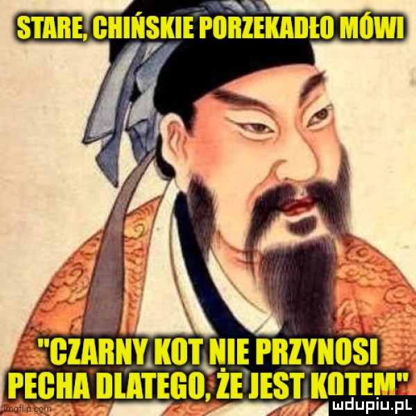 stare gidii iękie wie kch mówi will mathew jest kii i em ludupiu. pl