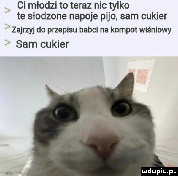 ci młodzi to teraz nic tylko te słodzone napoje pajo sam cukier zajrzyj do przepisu babci na kompot wiśniowy sam cukier mwmw