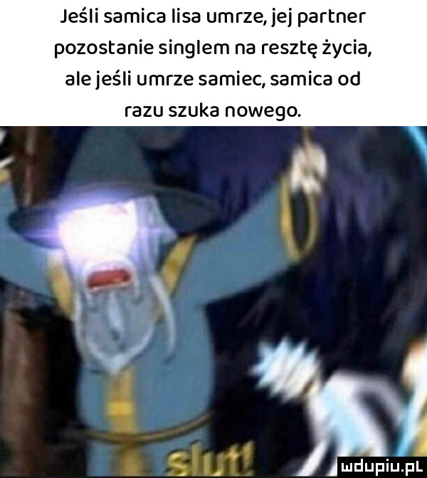 jeśli samica lisa umrze jej partner pozostanie singlem na resztę życia ale jeśli umrze samiec samica od razu szuka nowego