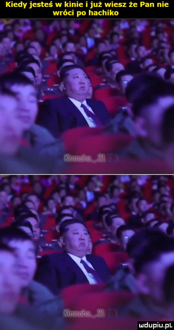 kiedy jesteś w kinie i już wiesz że pan nie wróci po hachiko. abakankami. abakankami  . abakankami ó