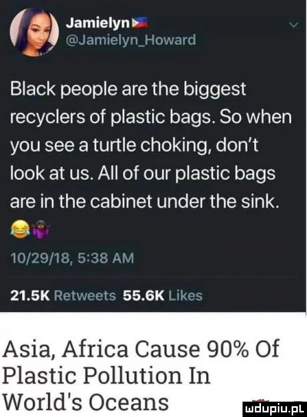 jamielyn r r yjamielyn howard black people are tee biggest recyclers of plastic baas.    wien y-u sie a turyle choking don t look at us. all of ocr plastic baas are in tee cabinet unger tee siak. abakankami uv                am     k meeota     k like asia africa cause    of plastic pollution in wored s oceans mel