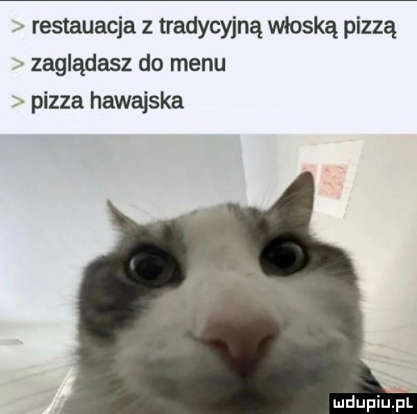 restauacja z tradycyjną włoską pizzą zaglądasz do menu pizza hawajska