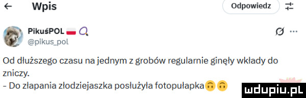 odpowiedz wpis   pikuśpol cl kuąpoi dd dłuższego czasu na jednym z grobów regularnie ginęły wkłady do zniczy. do złapania zlodzieiaszka posłużyła fotopulapka
