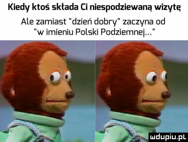kiedy ktoś składa ci niespodziewaną wizytę ale zamiast dzień dobry zaczyna od w imieniu polski podziemne a i