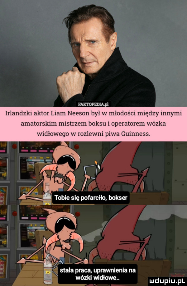 faktopedia pl irlandzki aktor liam neeson był w młodości między innymi amatorskim mistrzem boksu i operatorem wózka widłowego w rozlewni piwa gumness. agi tobie się pofarciło bokser sax w r x a e stala praca uprawnienia na wózki widłowe