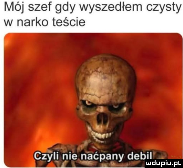 mój szef gdy wyszedłem czysty w nerko teście czyli nie n aćpany debild lud upiu. pl