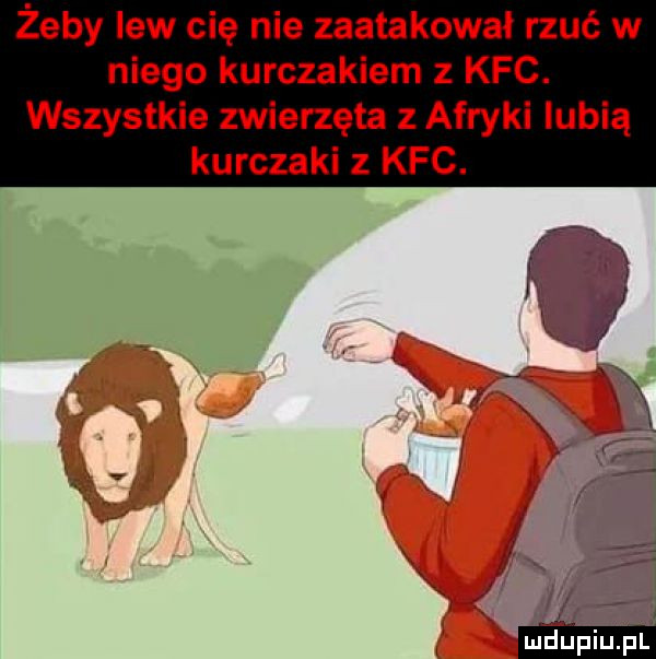 żeby lew cię nie zaatakował rzuć w niego kurczakiem z kfc. wszystkie zwierzęta z afryki lubią kurczaki z kfc