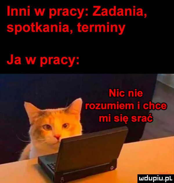 inni w pracy zadania spotkania terminy ja w pracy