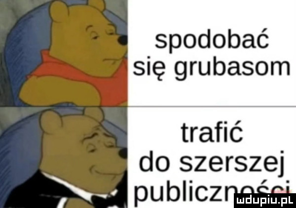 spodobać się grubasom trafić do szerszej pubch