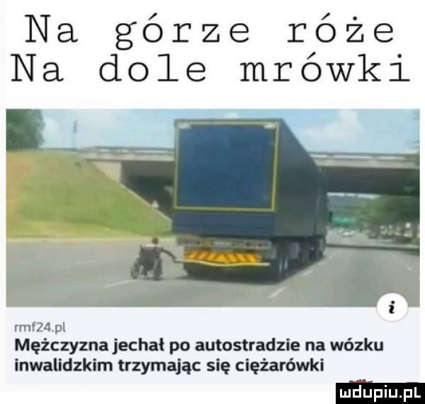 na górze róże na dole mrowki rmfzfxpl mężczyzna jechał po autostradzie na wózku inwalidzkim trzymając się ciężarówki
