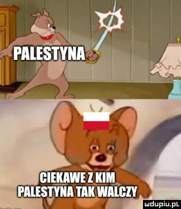 maga lj. ciekawe kim pmesiyiia i ak wan